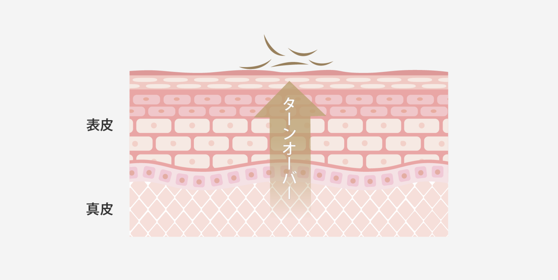 肌ピーリング