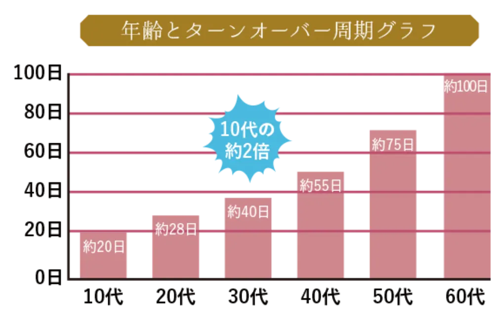 年齢とターンオーバー周期グラフ